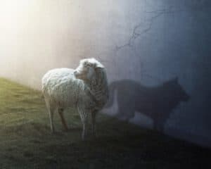 A sheep with a shadow of a wolf