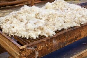 what to do with raw wool