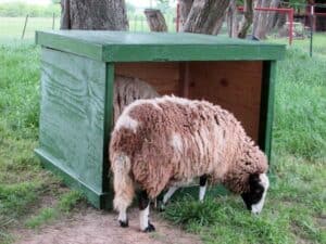 Portable sheep shelter ideas
